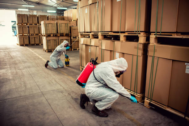 Best Wasp Removal Services  in Olympia, SC