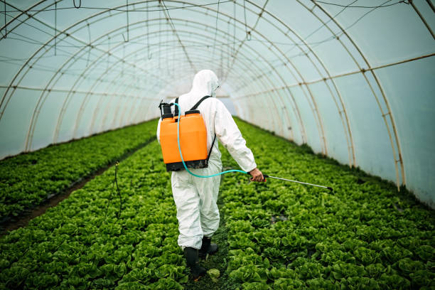 Best Residential Pest Control  in Olympia, SC