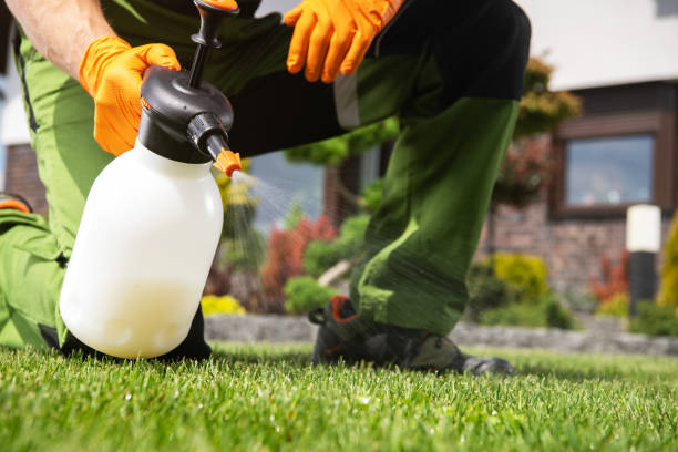 Best Wildlife Control Services  in Olympia, SC
