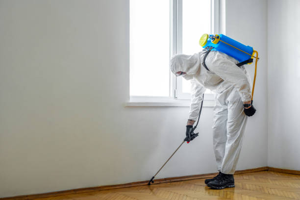 Best Termite Control Services  in Olympia, SC