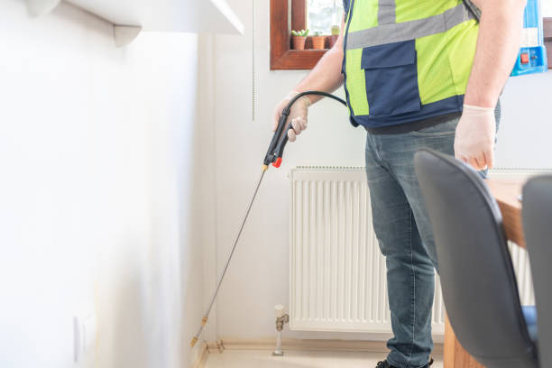 Best Wasp Removal Services  in Olympia, SC