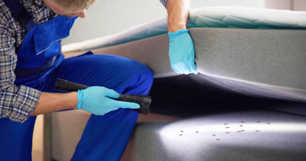 Best Best Pest Control Companies  in Olympia, SC