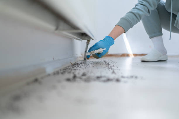 Best Pest Control Near Me in Olympia, SC