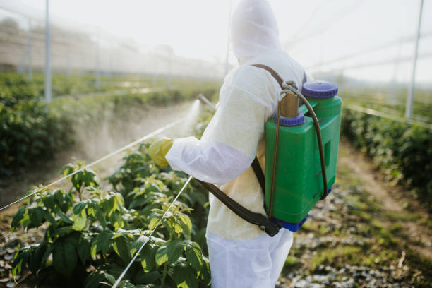 Best Affordable Pest Control Services  in Olympia, SC